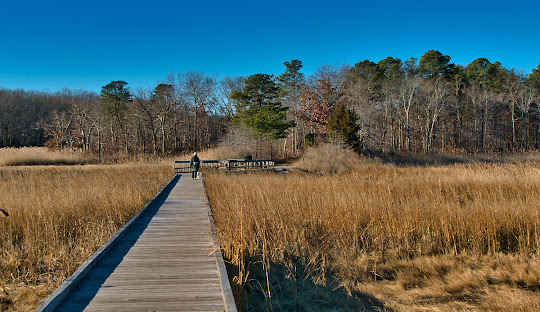 Old Bridge, NJ