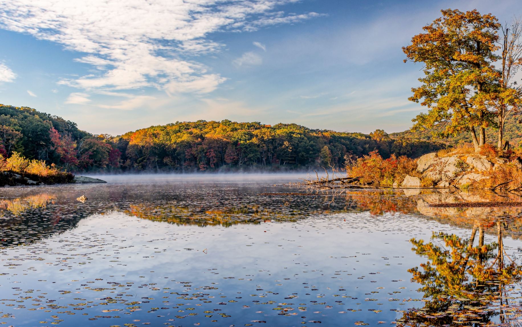 Orange County, NY